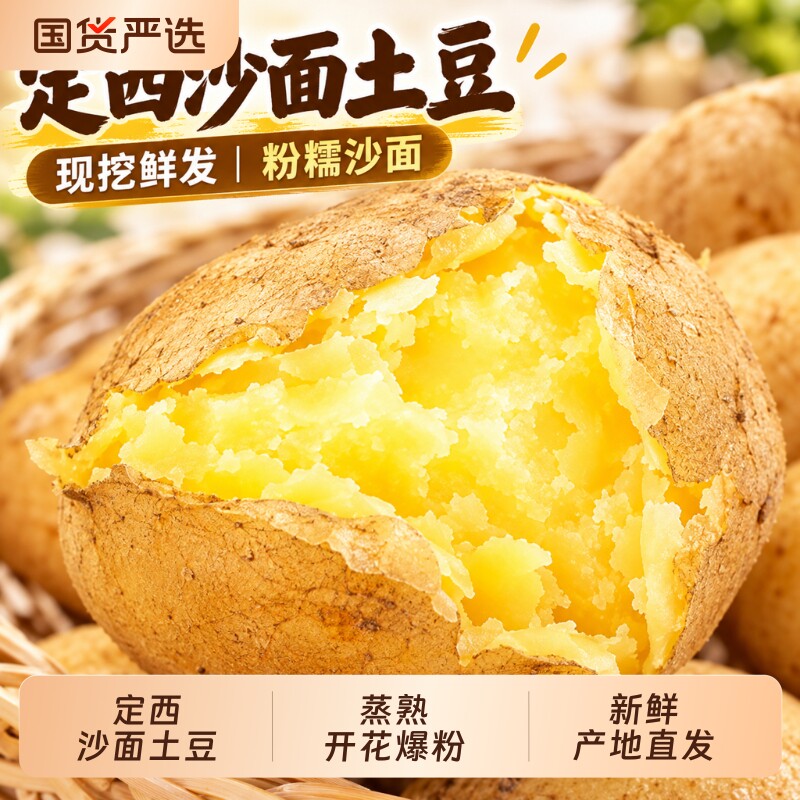 2026年甘肃沙面土豆新鲜黄皮黄心洋芋定西马铃薯辅食定西土豆