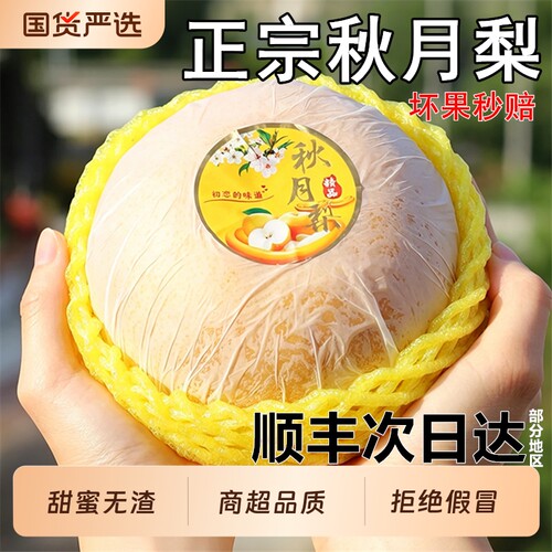 顺丰包邮正宗秋月梨梨子新鲜水果雪梨应季甜冰糖梨大果礼盒装包邮