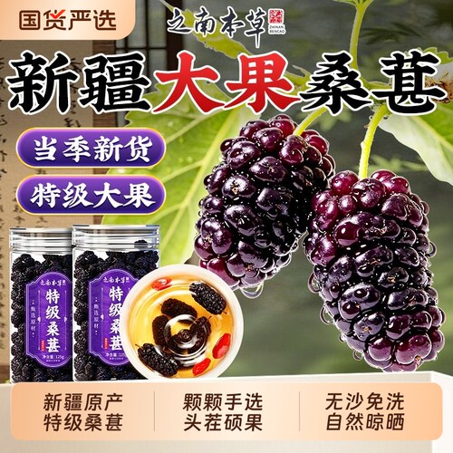 新疆原产特级桑葚干头茬大果正品