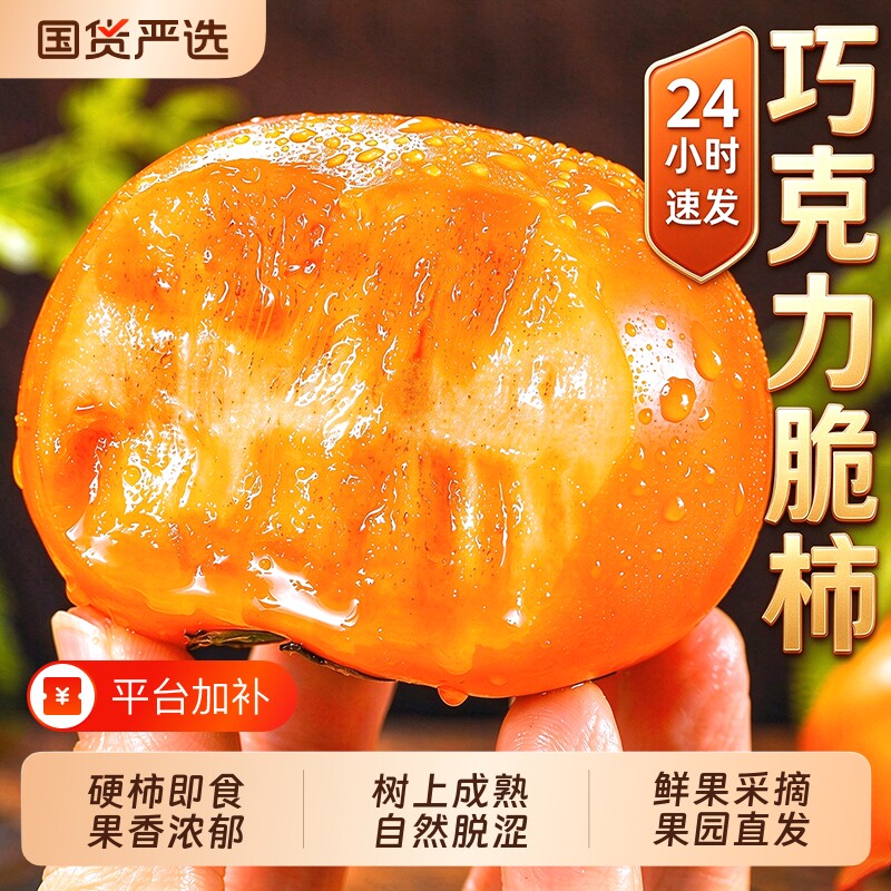 巧克力阳丰脆柿子水果新鲜当季整箱包邮大果黄硬甜脆火晶脆甜柿子