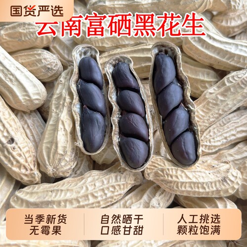 精选新货黑皮云南黑花生生熟黑花生米晒干带壳富硒黑花生坚果零食