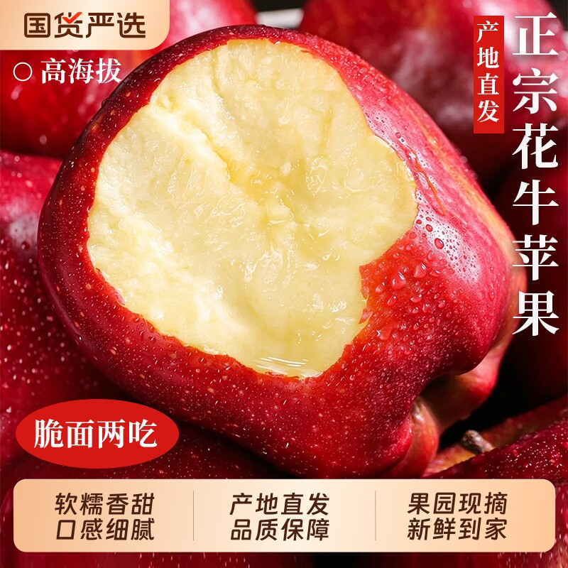 甘肃天水花牛苹果新鲜水果现摘正宗平果粉面糖心丑果当季包邮整箱 季粉实拍商品图
