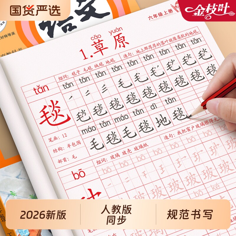 六年级上册练字帖语文同步字帖人教版小学生专用拼音生字词描红写字课课练6年级期同步练习教材练字每日一练作文笔画楷书新版词语