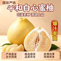 5~6斤！正宗福建.平和琯溪白心蜜柚
