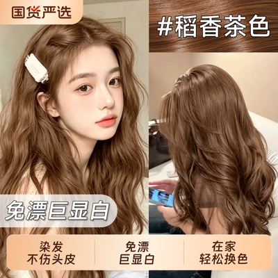 2026潮流行色新款染发膏显白免漂