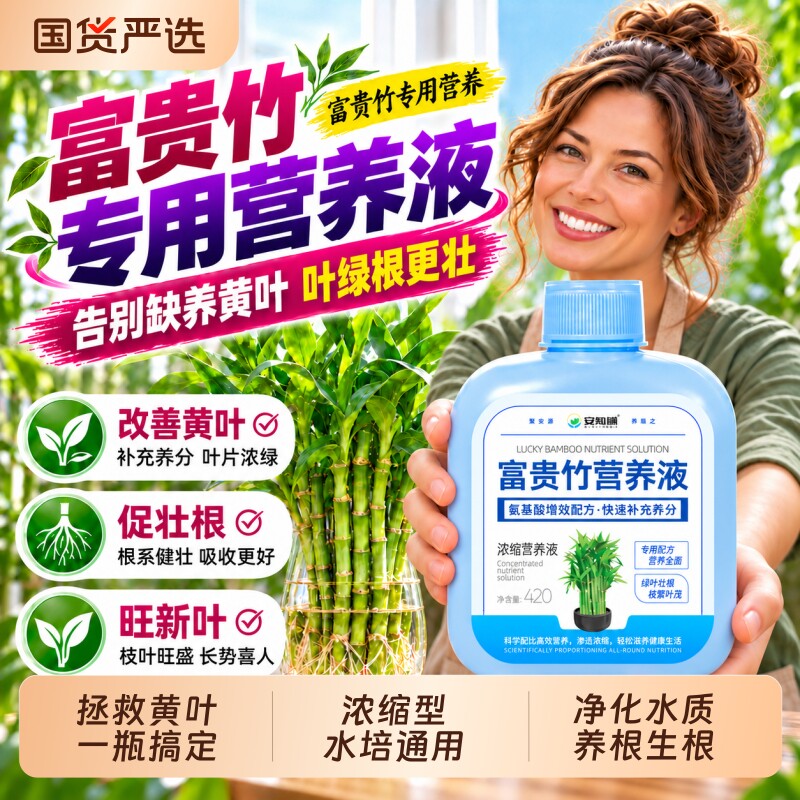 富贵竹专用营养液生根土培水培水养治叶子发黄观音竹植物通用肥料