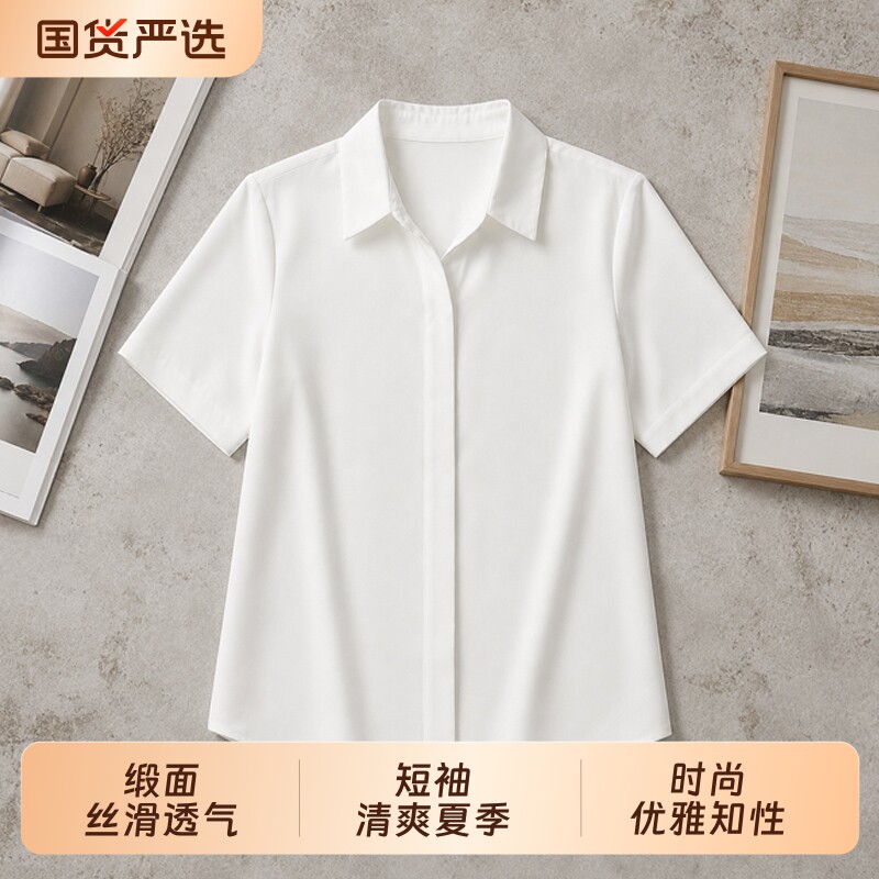 夏季新款高级感面试职业通勤衬衫图片
