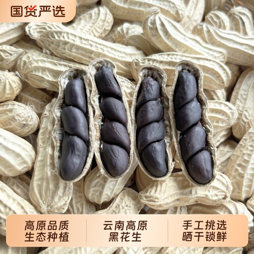 云南黑花生带富壳硒云南特产新货鲜晒干原味花生米黑皮花生食用