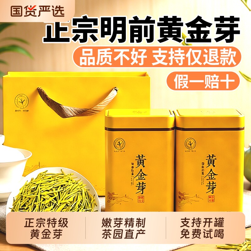 正宗雨前黄金芽茶叶2026年新茶口粮安吉茶树白茶绿茶250g礼盒