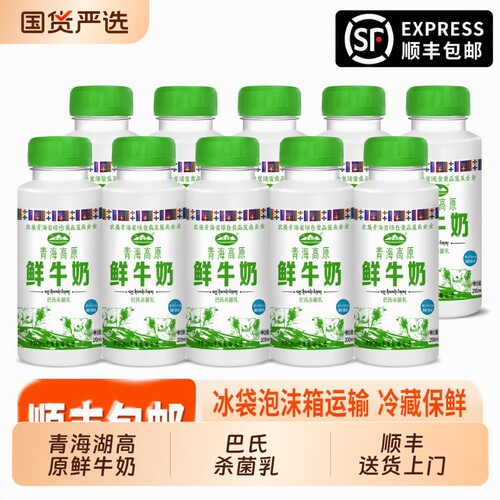 高原青海湖鲜牛奶230ml 8瓶装巴氏杀菌低温奶营养早餐奶鲜奶*学生