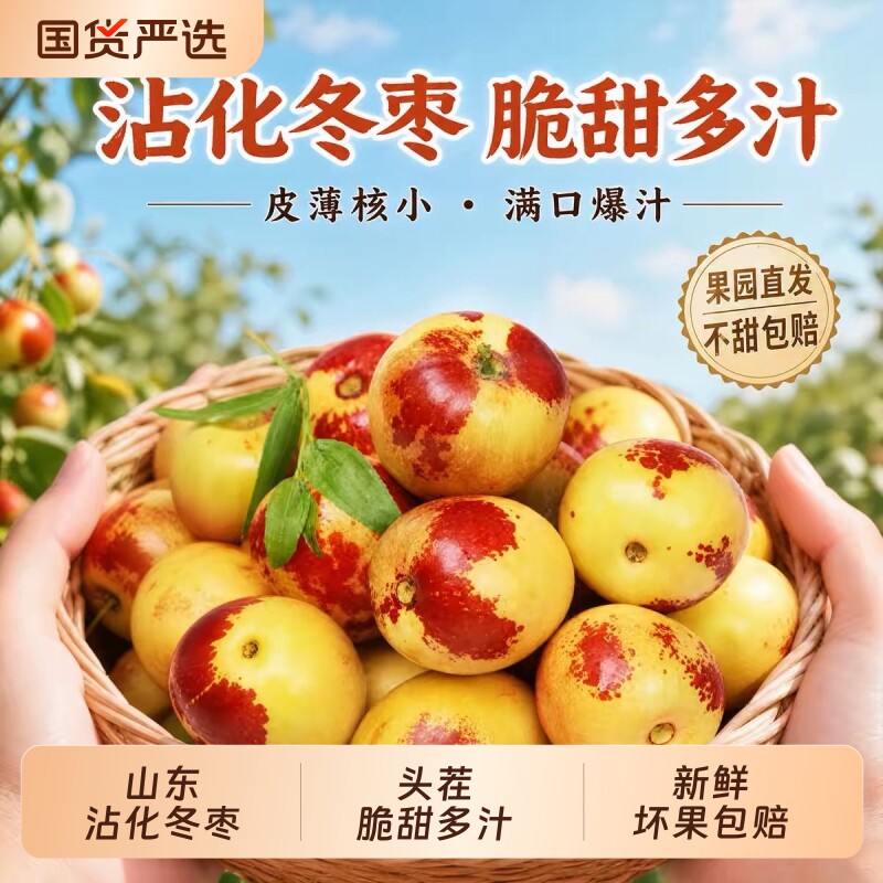 【原产地直发】山东正宗沾化冬枣5斤