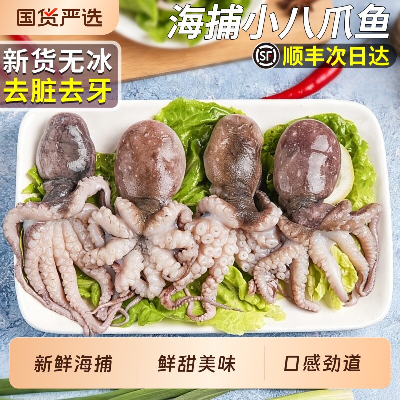 顺丰新鲜八爪鱼鲜活冷冻迷你小章鱼捞汁海鲜去内脏八抓鱼包邮水产