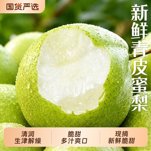 正宗砀山青梨新鲜水果皇冠梨9斤