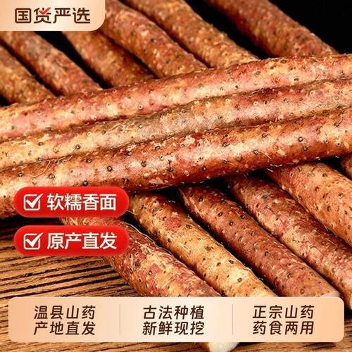 正宗河南焦作铁棍山药官方旗舰店温县红皮铁杆怀山药中药材淮山药