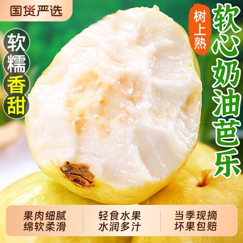 热卖！软糯奶油芭乐！收到需催熟