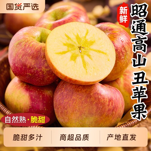 产地直发才正宗昭通糖心丑苹果