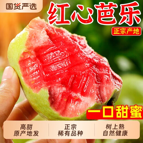 高甜芭乐整箱购买|超2000次加购