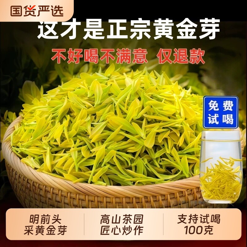 正宗黄金芽茶叶2026年新茶雨前口粮安吉茶树白茶绿茶250g礼盒