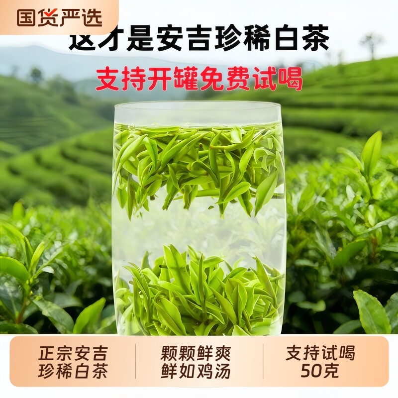正宗白茶安吉高山特级2026年新茶礼盒装一级口粮绿茶散装茶叶明前