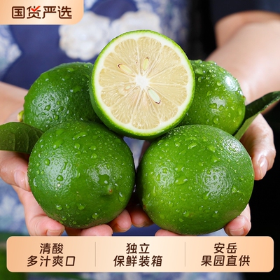 安岳青柠檬新鲜采摘薄皮水果绿皮