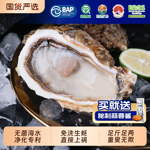 贝司令乳山鲜活生蚝5斤