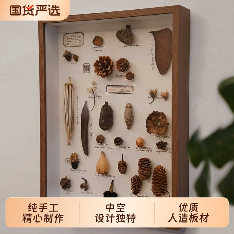 中空标本相框立体昆虫植物DIY干花手工diy贝壳蝴蝶摆台画框摆件
