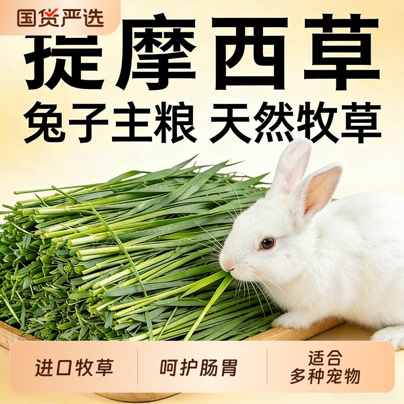 26年新晒干提摩西草兔草兔子食用草北提草豚鼠龙猫兔草牧草兔粮