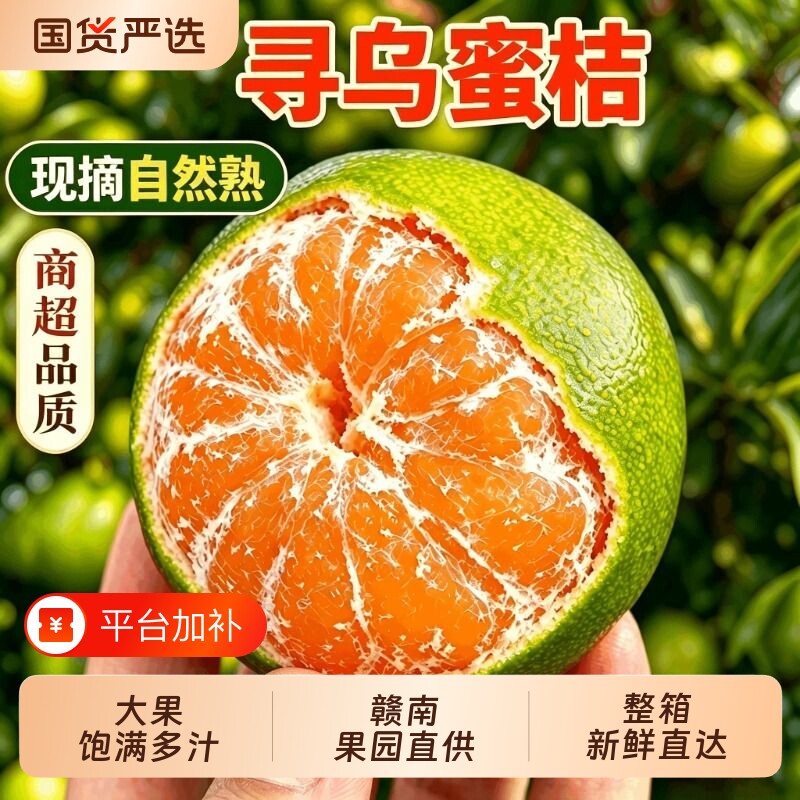 【现摘】正宗江西赣南寻乌蜜桔青皮橘子新鲜孕妇水果当季无籽蜜橘