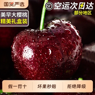 顺丰空运5J大连美早樱桃新鲜水果大樱桃车厘子当季礼盒装高级整箱