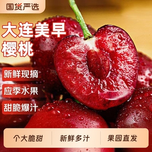 大连美早樱桃新鲜应当季时令鲜果5斤礼盒装国产孕妇车厘子应季