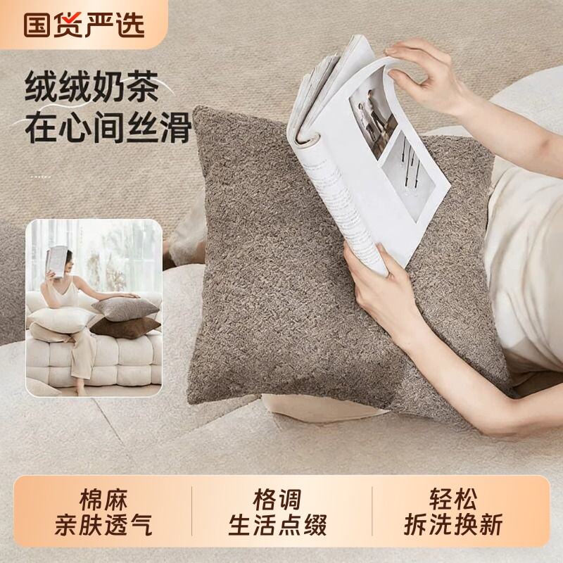 抱枕客厅沙发轻奢高级感靠垫睡觉靠枕2026新款可拆洗抱枕套长方形