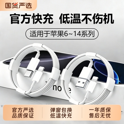 快冲冲适用苹果13充电线iPhone11快充PD30W数据ipad平板15pro16手机14/12充电器线usb接口双typec耳机air冲