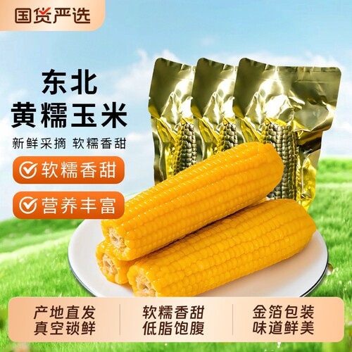 贤农嫂头茬黄糯玉米非转基因新鲜
