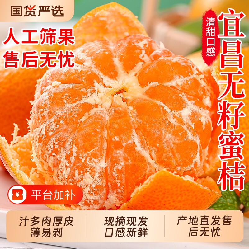 宜昌蜜橘橘子早熟当季现摘柑橘薄皮宜都蜜柑9斤整箱包邮无籽桔子