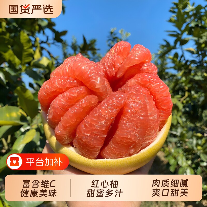 海南红心柚子肉质细腻 头茬鲜果 现摘现发 肉厚 甜蜜新鲜应季水果