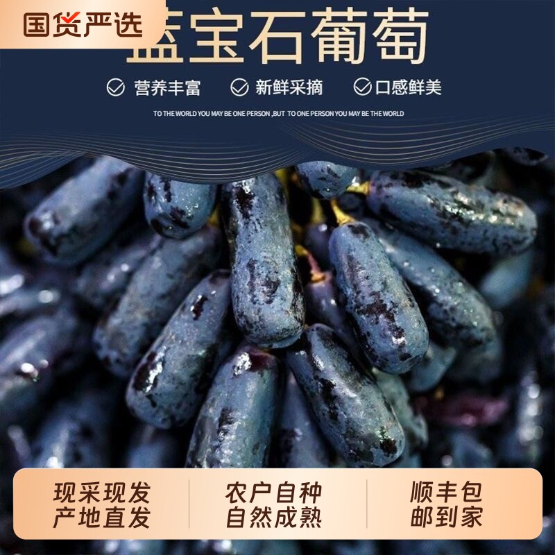 顺丰蓝宝石葡萄当季新鲜水果图片