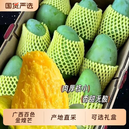 芒果