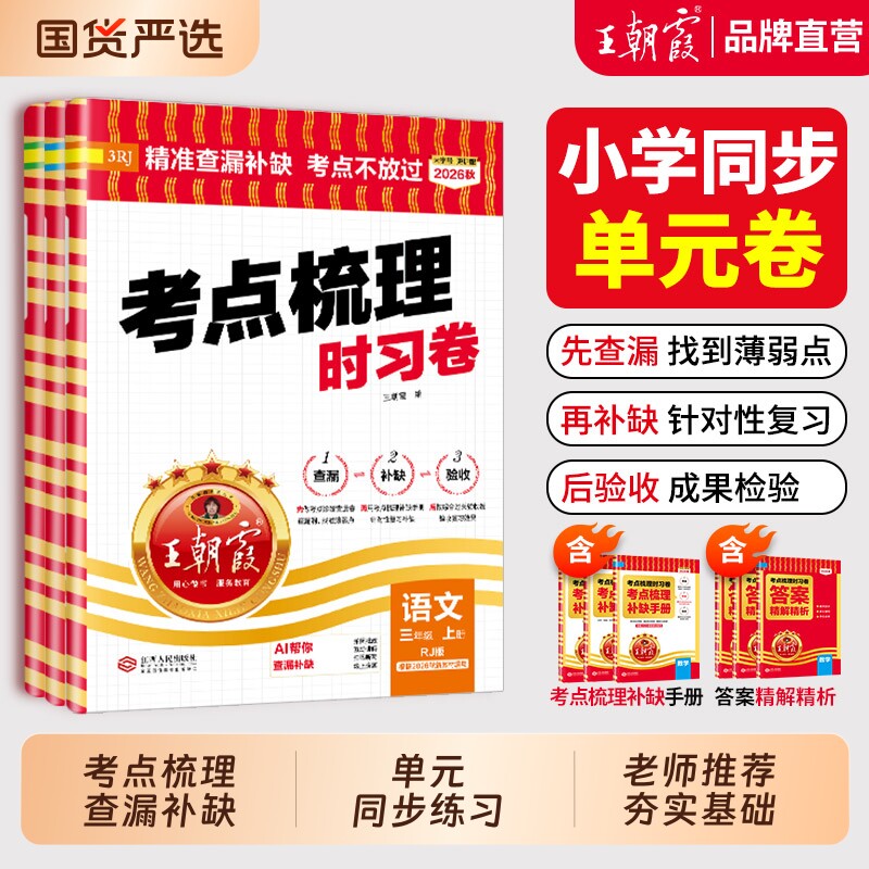 王朝霞考点梳理卷官方正品图片