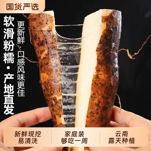 云南高山灵芝山药现挖现发带土新鲜当季新鲜蔬菜产地直供食补食材