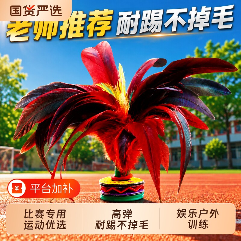 毽子儿童小学生比赛专用鸡毛耐踢毛毽球户外键大人运动羽毛毽子优