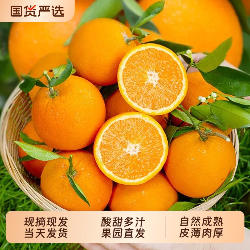 正宗江西脐橙橙子当季时令水果新鲜甜榨汁专用早橙子夏橙应季包邮图片