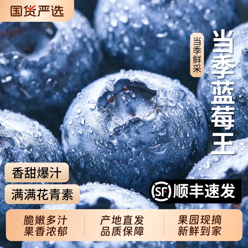 正宗云南蓝莓高山L25花香顺丰新鲜水果现摘脆甜大果当季整箱包邮 箱盼实拍商品图