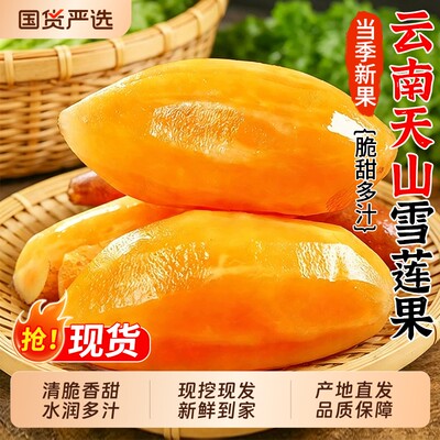 【天山雪莲果9斤装】脆甜多汁