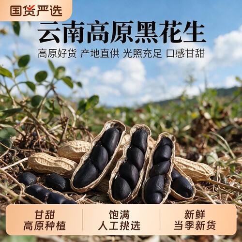 云南黑花生水煮富硒黑花生普洱2026新货晒干种带壳黑皮花生米