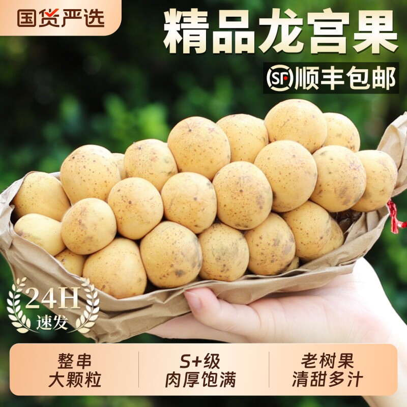 泰国龙宫果新鲜罕见水果5斤当季进口龙贡果整箱顺丰包邮大果