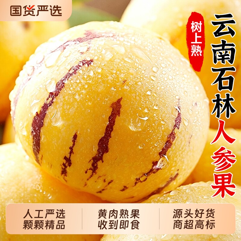 云南石林人参果！黄肉圆果树上熟图片