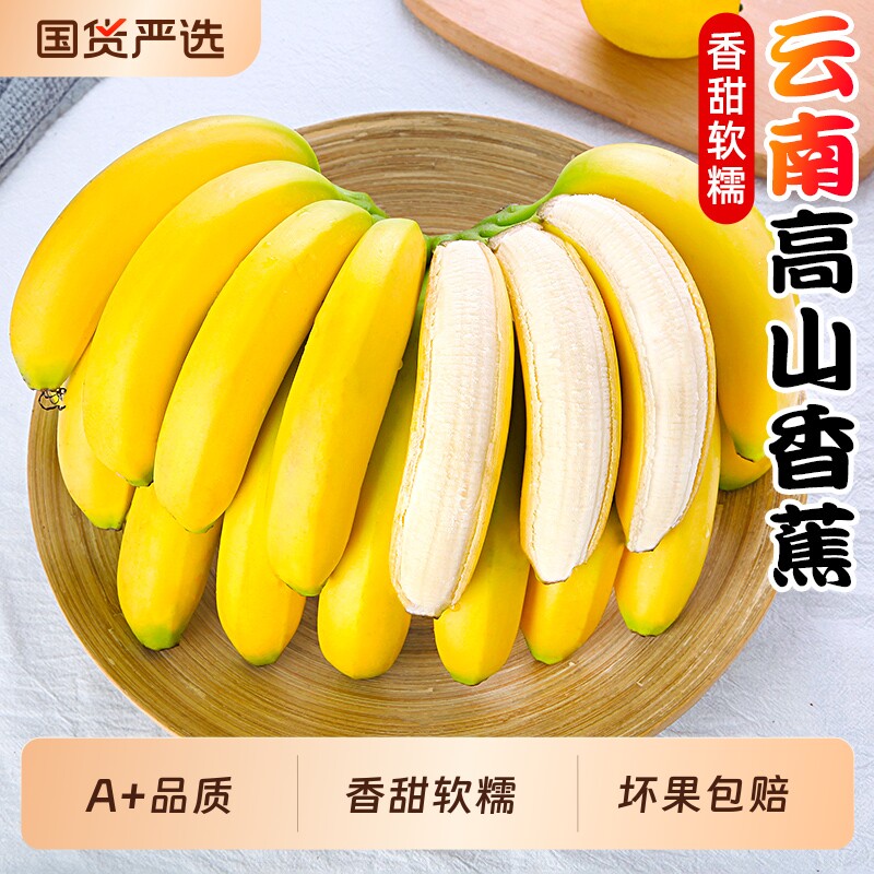 云南新鲜甜糯高山香蕉新鲜水果现摘芭蕉小米青香焦绿批发整箱包邮