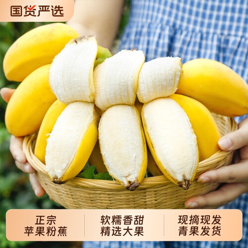 正宗广西苹果粉蕉大果应季新鲜孕妇水果西贡蕉自然熟老人宝宝辅食