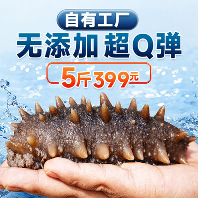 参参堂高品质冷蒸即食海参