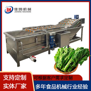 辣椒韭菜苹果清洗机 清洗设备 商用果蔬气泡清洗机 小龙虾喷淋式